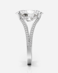 Anastasia Sidostenar Oval