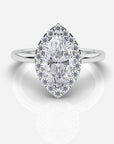 Isabella Halo Marquise