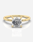 Isabella Hidden Halo Asscher