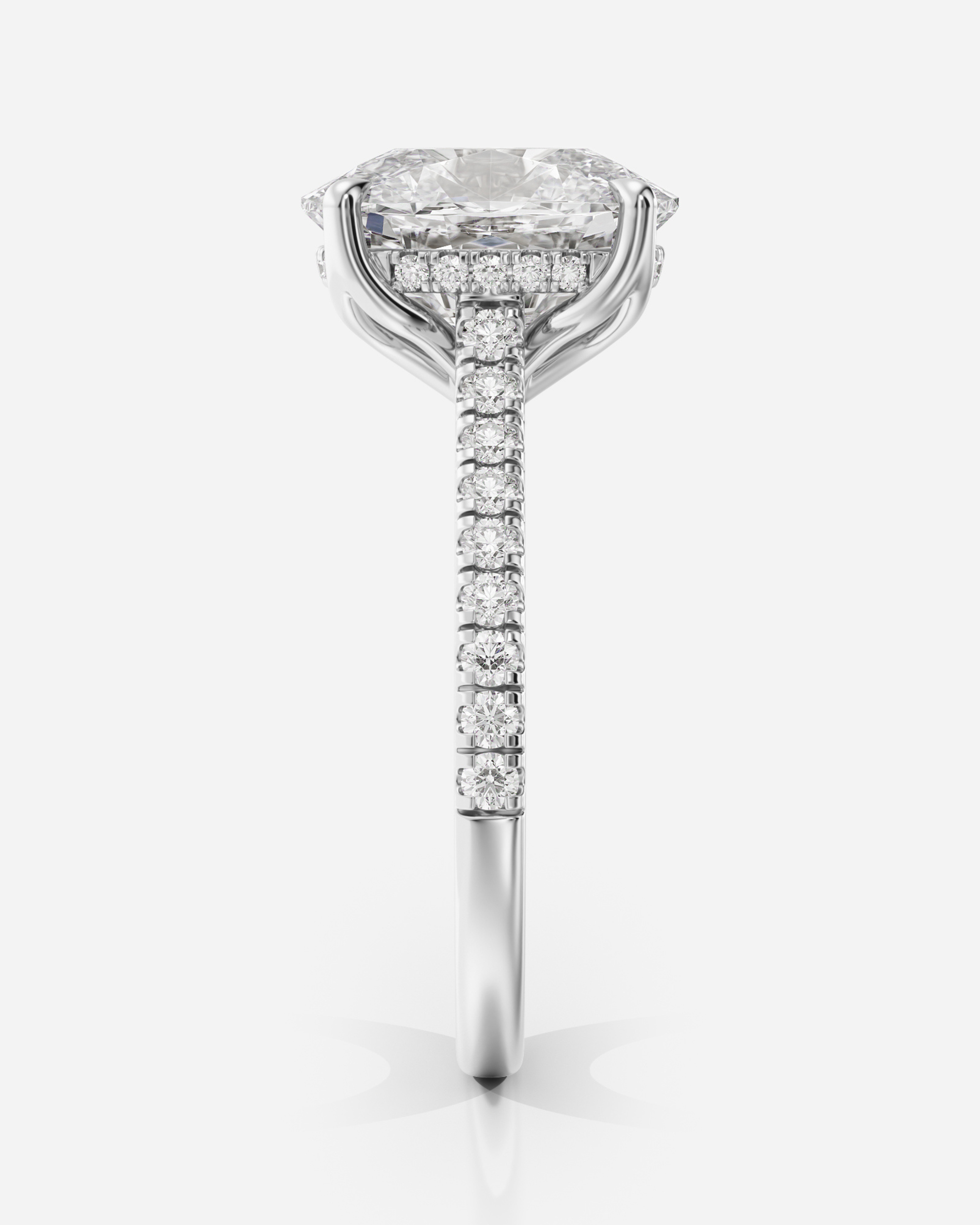 Anastasia Sidostenar & Hidden Halo förlovningsring i 18K vitt guld, sidovy med hidden halo och pavéband