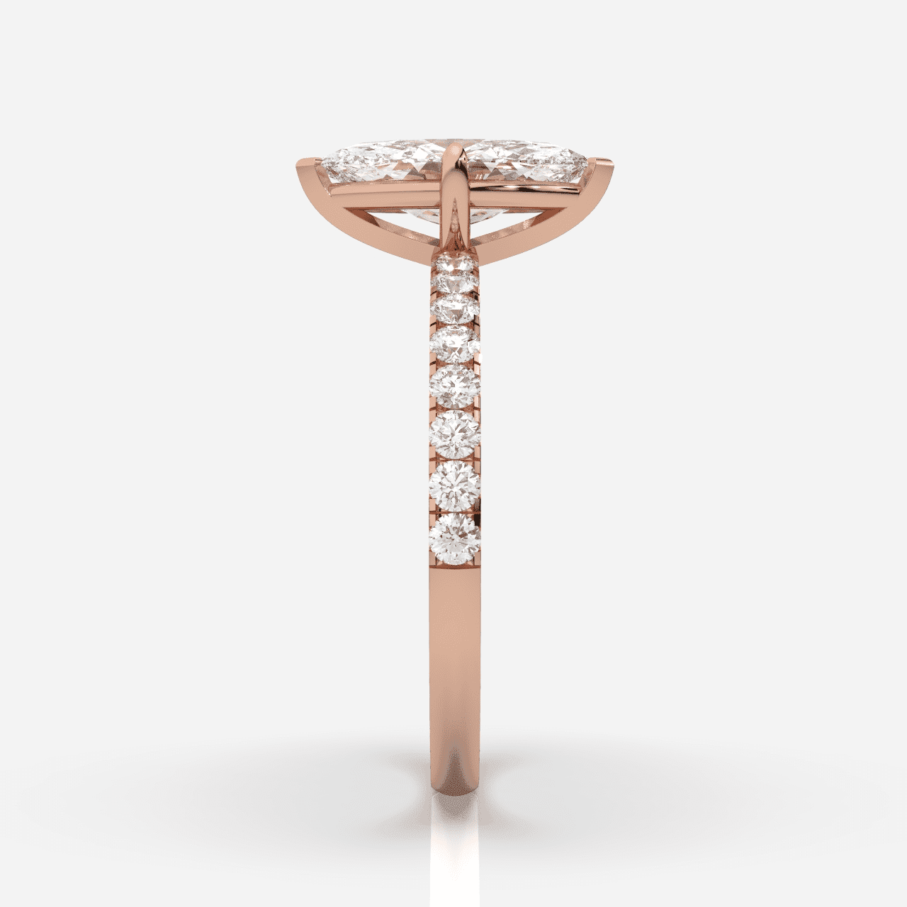 Isabella Sidostenar Navett