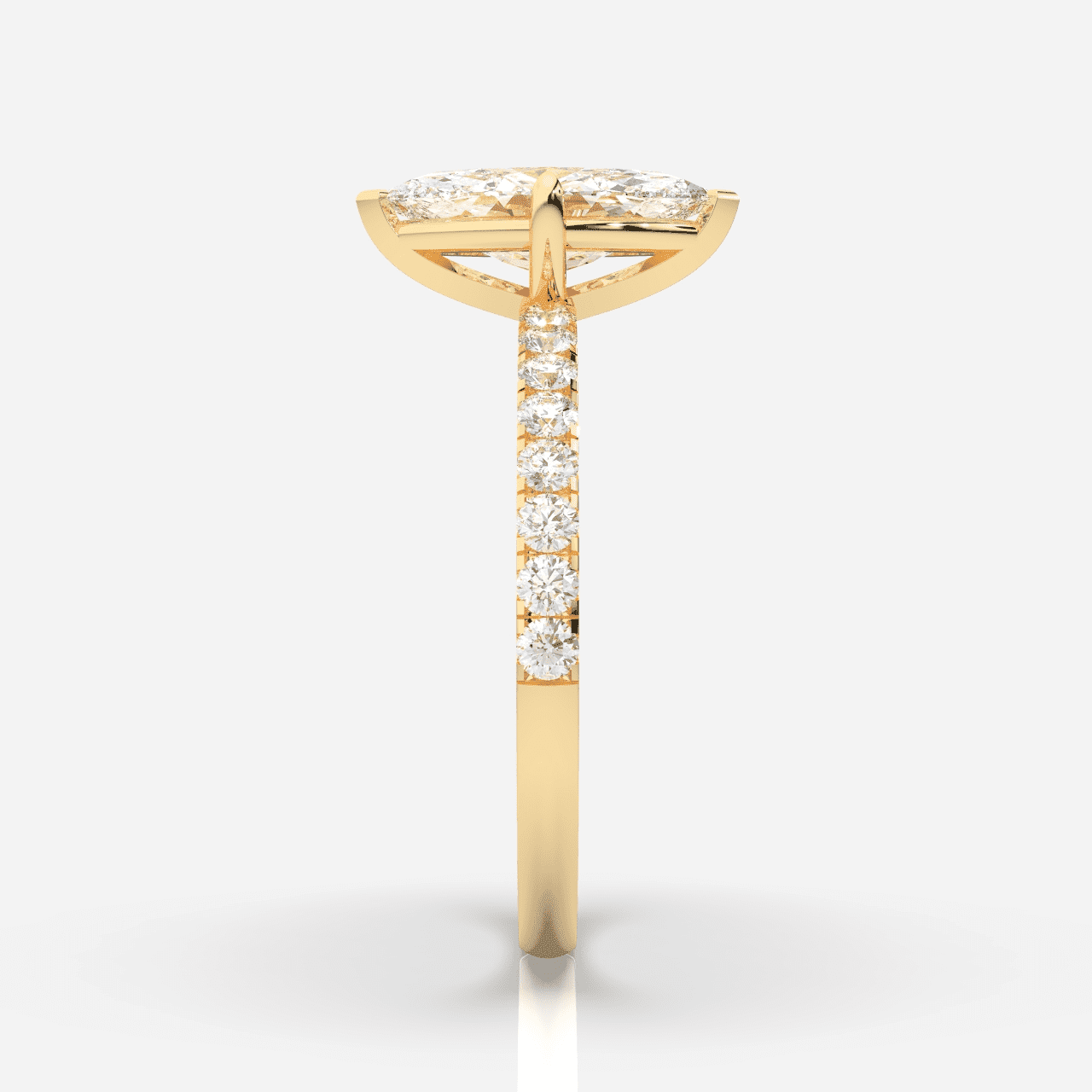 Isabella Sidostenar Navett