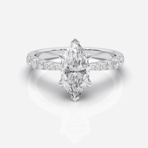 Klara Sidostenar Marquise